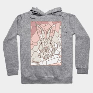 Inside the mirror - Grey Rabbit Hoodie